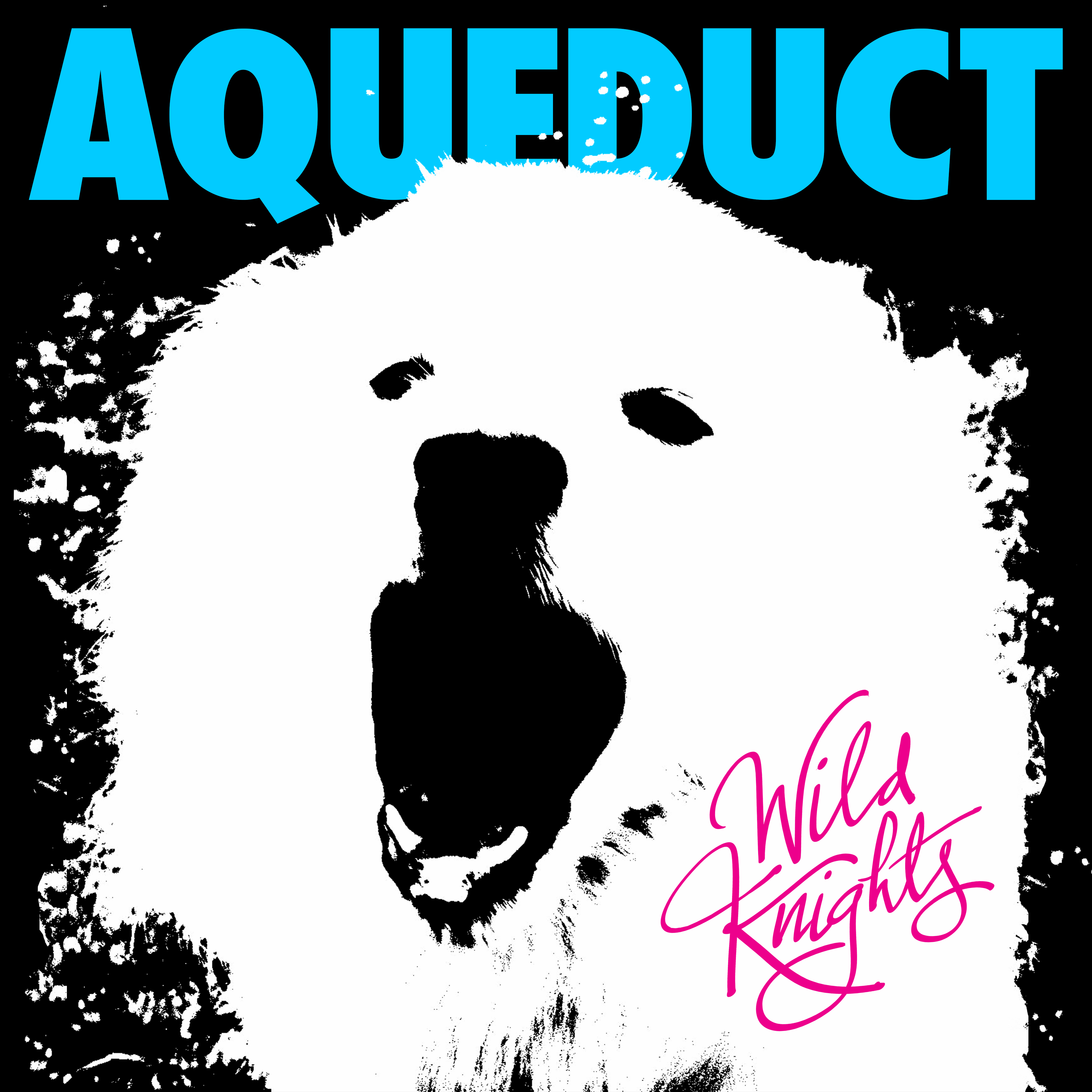 Aqueduct Wild Knights